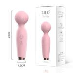 Mini Hitachi Ice Cream Lilo